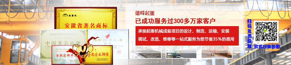 雄峰起重安徽省最大的專業起重機生產企業